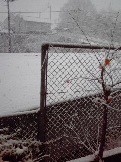 iF@