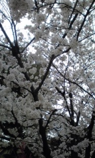 炢